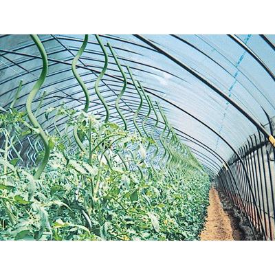 タキロン トマト用 ラセン支柱 トマポール 太さ 13 7 長さ 2100mm 100本入 農業資材 園芸用品 家庭菜園 トマトポール らせん トマト支柱 アグリズ Paypayモール店 通販 Paypayモール