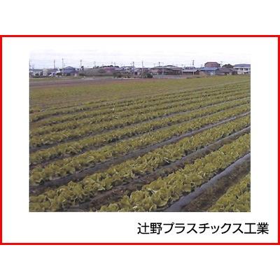 辻野プラスチックス 生分解性 黒マルチ ビオトップ 0.018mm×95cm×200m 5本入 農業資材 生分解性マルチ 省力化 すき込み