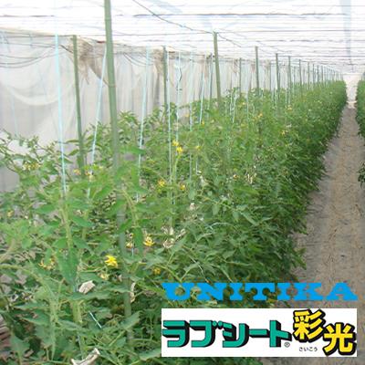 ユニチカ 内張りカーテン用 不織布 60557FHZ ラブシート採光 270cm×100m 2本入｜agriz