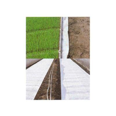 ユニチカ　水稲育苗用　不織布　150cm×100m　20307WTD　ラブシート