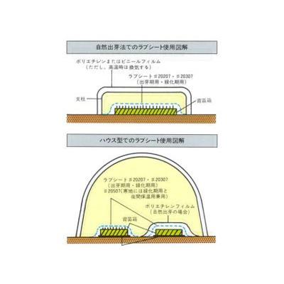 ユニチカ　水稲育苗用　不織布　ラブシート　300cm×50m　20307WTD