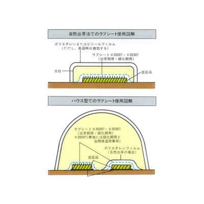 ユニチカ ラブシート YLD  2本 UNITIKA（ユニチカ） 水稲育苗用 不織布 ラブシート 300cm×100m 2本入