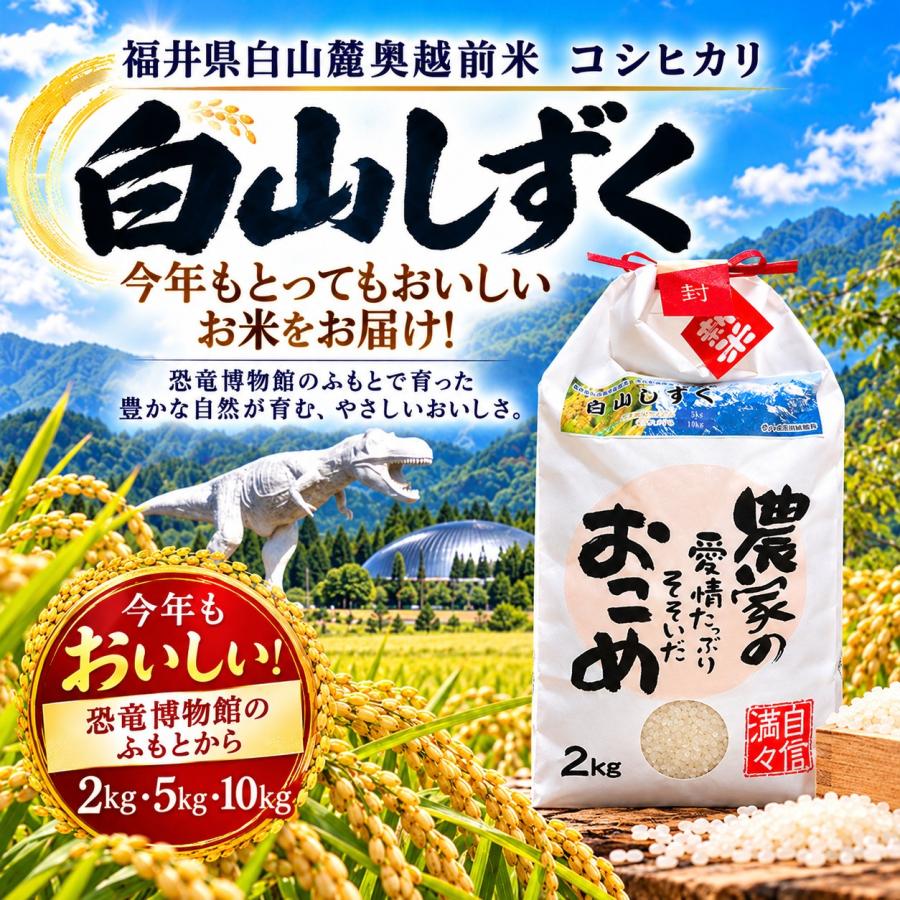 令和7年度産】コシヒカリ 10kg 白山しずく 米 お米 白米 無洗米 精米