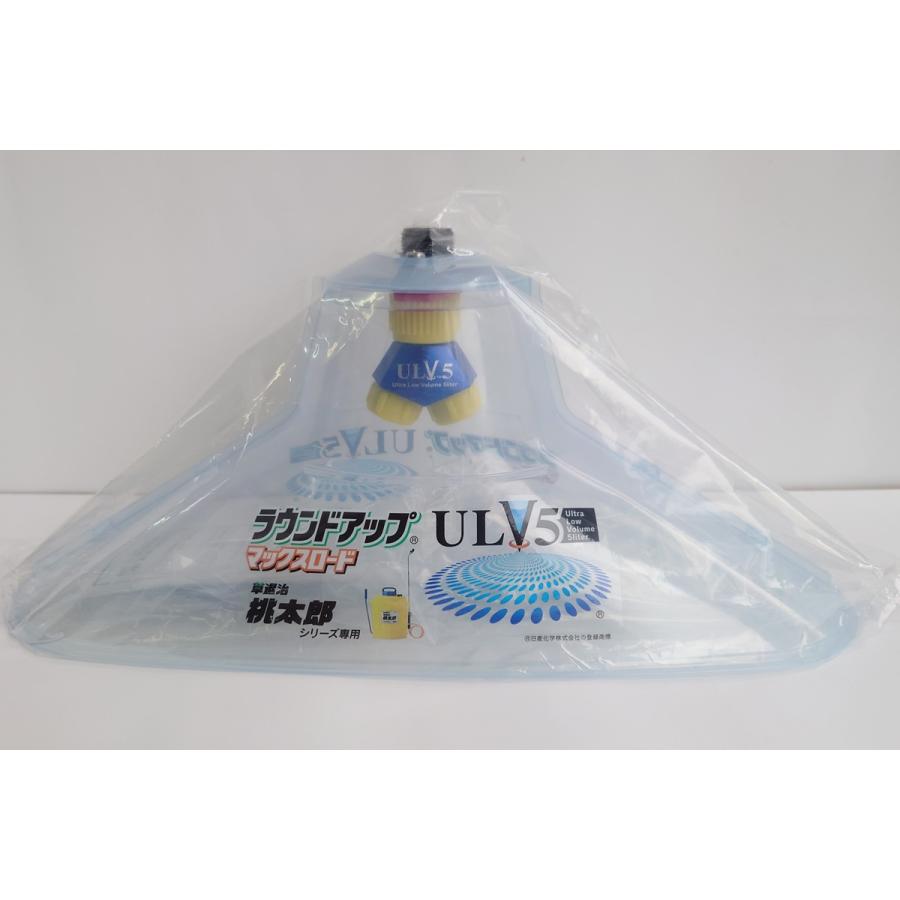 和泉 日本酒／東北泉 Mt.Chokai(マウントチョウカイ) 限定辛口原酒 純米大