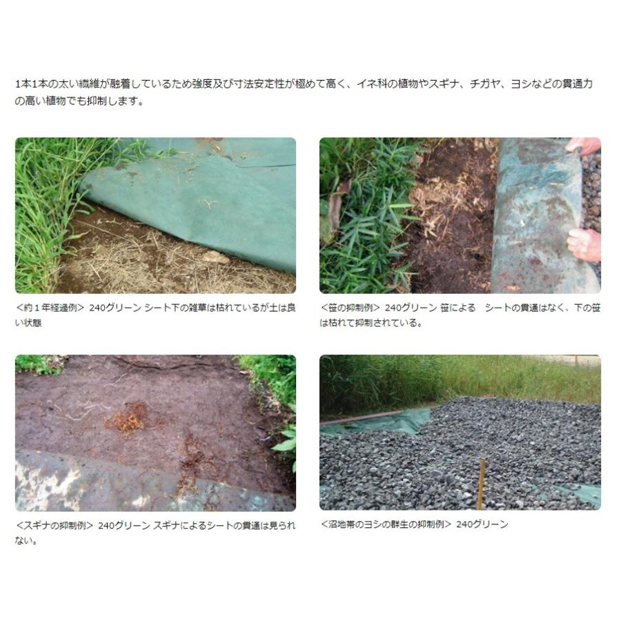 Xavan 防草シート ザバーン 240G 幅2m×長さ30m 超強力防草シート 雑草