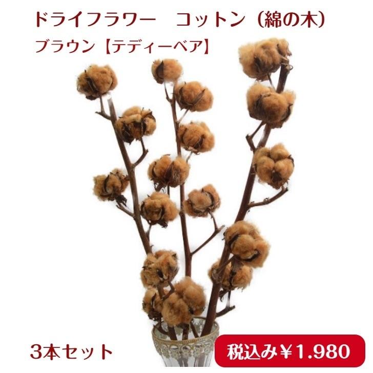 ドライフラワー 人気品種 素材 コットンフラワー Br ブラウン テディーベア 3本セット Doraisozai 011 花工房あぐり 通販 Yahoo ショッピング