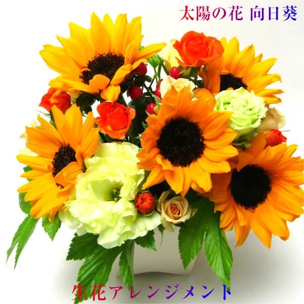 花 ギフト ひまわり 生花 アレンジメント 送料無料 向日葵 ヒマワリ あす着く クール便対応 無料 Belle