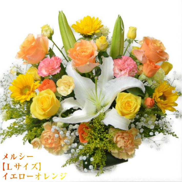 花 ギフト 誕生日 生花アレンジメント「メルシー Lサイズ」歓送迎 入学祝い 卒業祝い プレゼント｜aguri99｜02