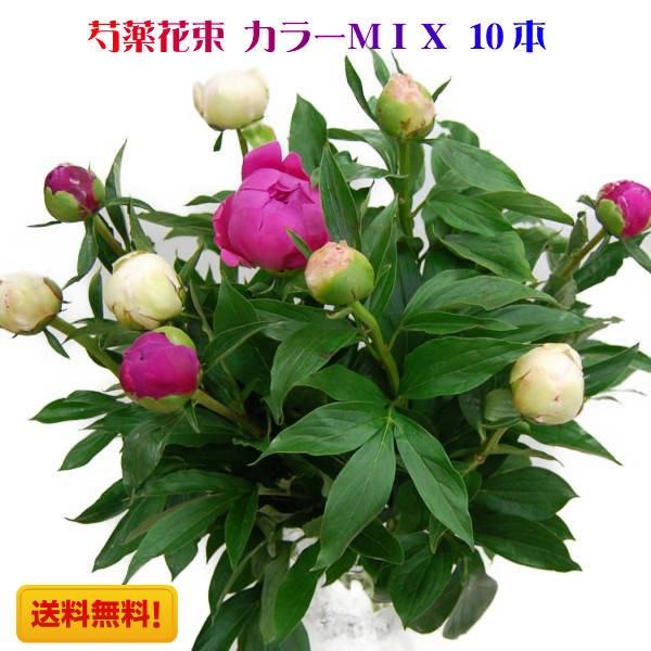 芍薬 花束 13本束 シャクヤク 他を圧倒する ボリューム感 抜群の存在感 カラー ミックス 激安人気新品