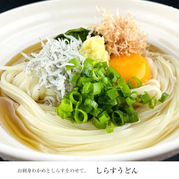 うどん 稲庭うどん お試しセット 無添加つゆ付 2人前(100gx2) 稲庭うどん小川 ポイント消化｜agurinosho｜15