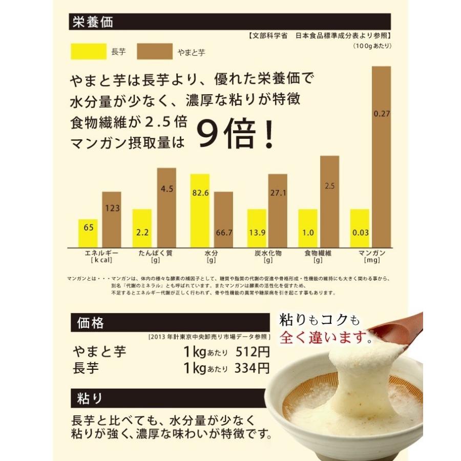 とろろ 山梨県産 やまと芋 冷凍 とろろ 50g X 袋 送料無料 大和芋 とろろ蕎麦 夏バテ防止 T 003 あぐりの匠 Yahoo 店 通販 Yahoo ショッピング