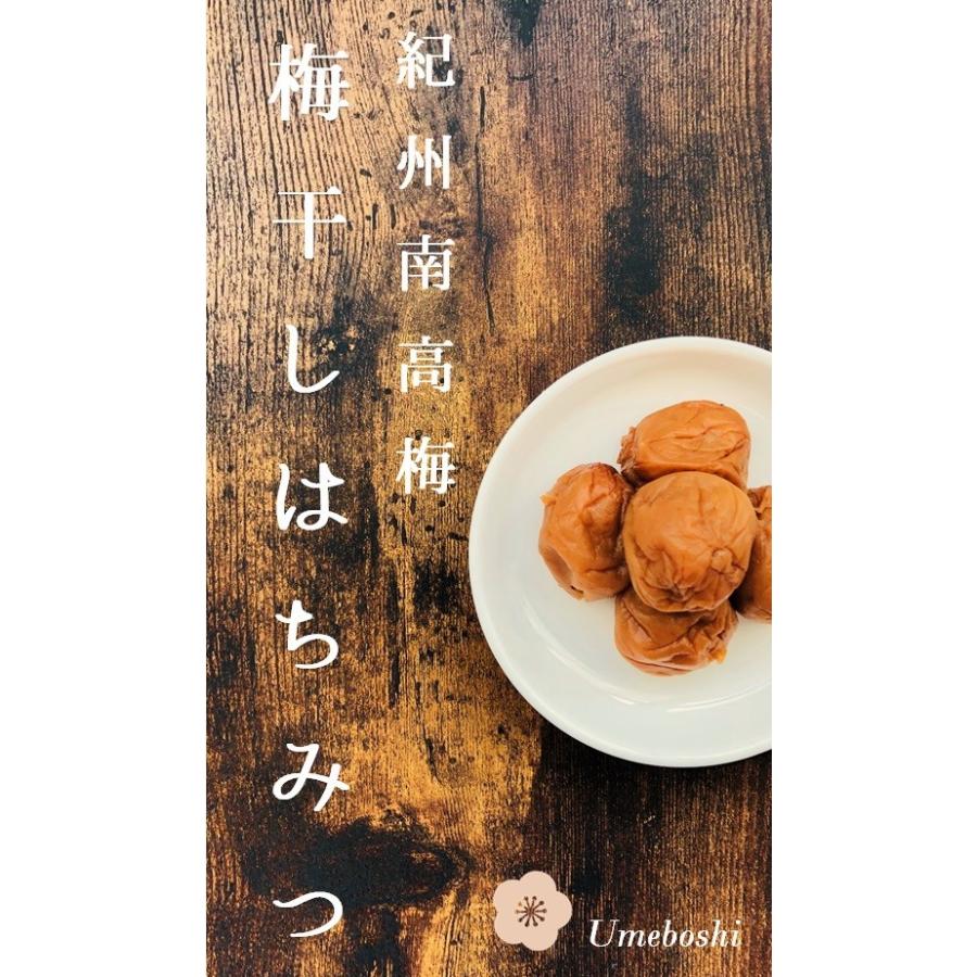 Agvege 紀州南高梅 梅干し つぶれ梅はちみつ 500g 10パック入り Purrworld Com