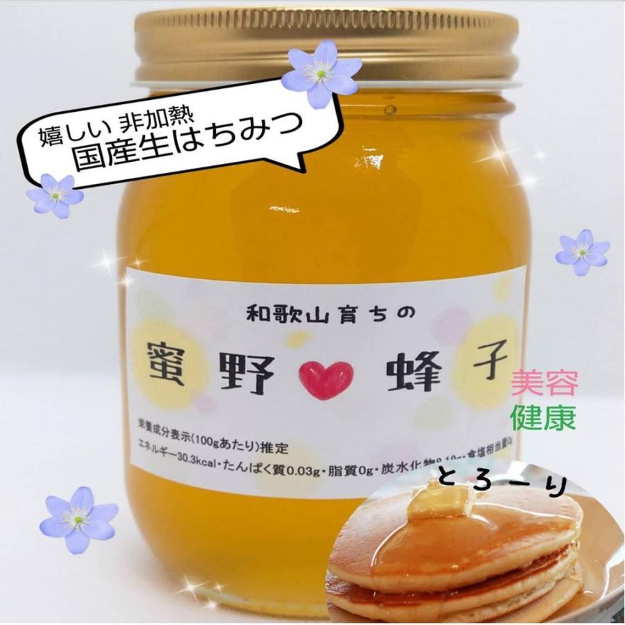 完熟 生蜂蜜 国産蜂蜜 純粋蜂蜜 無添加 非加熱 グラム 6個