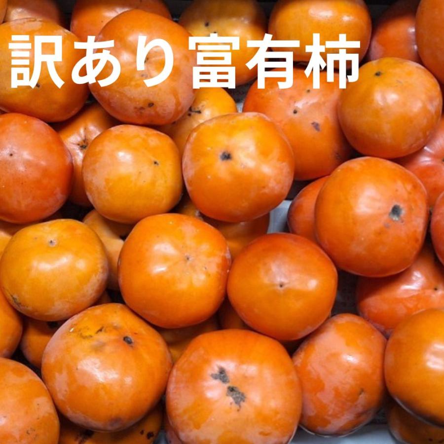 柿 富有柿 訳あり 5kg 種なし 無選別 20玉〜30玉 あま柿 甘柿 高糖度 くだもの 果物 フルーツ 家庭用 お徳用 和歌山 産地直送 ...