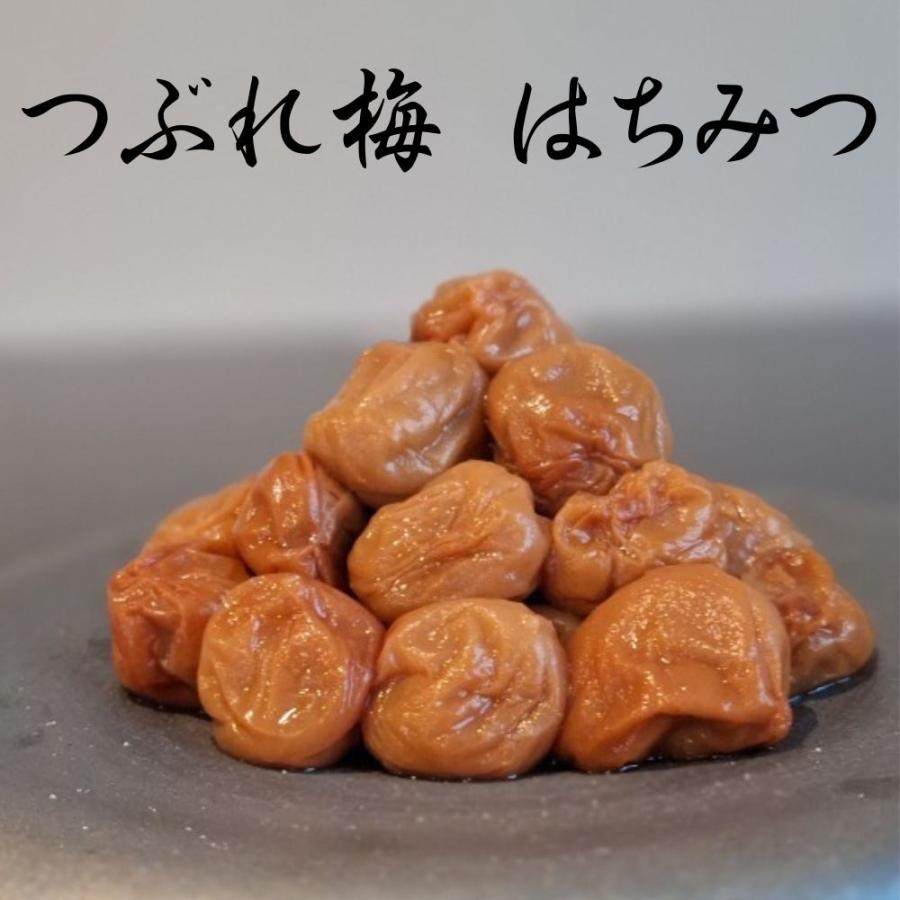 和歌山県産 紀州南高梅 訳あり 大粒混合 10キロ 【公式通販】