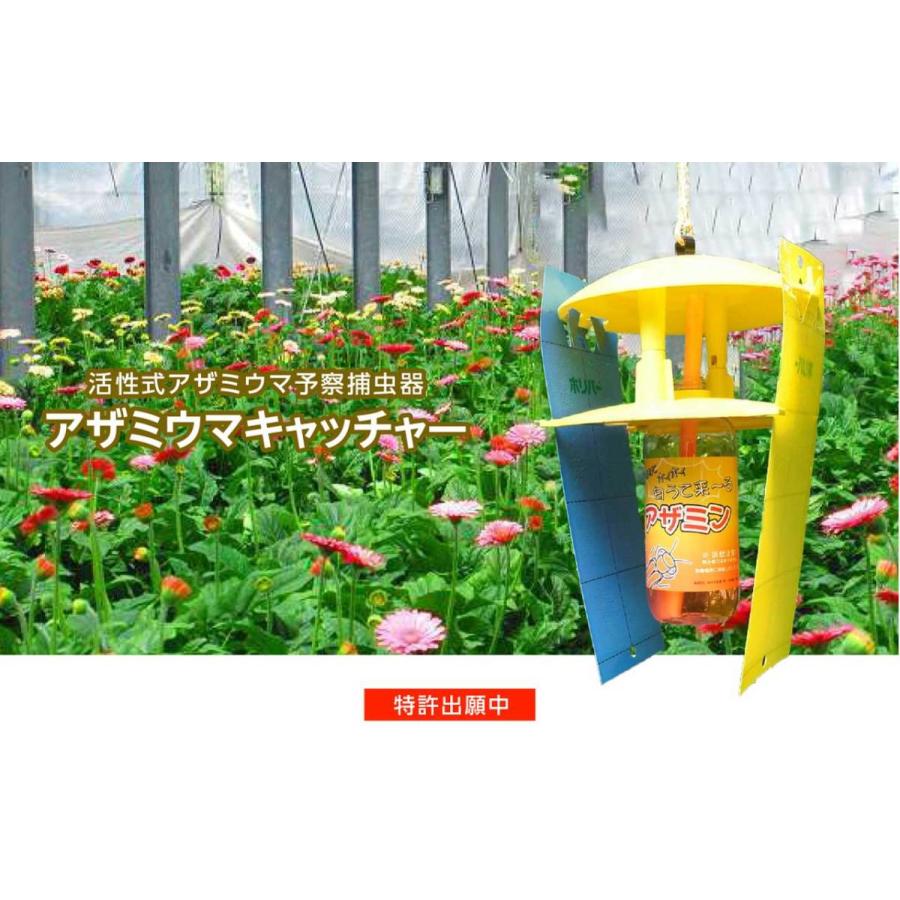 活性式アザミウマ予察捕虫器 アザミウマキャッチャー 10セット入り Caz 110 みのる産業 Minoru Caz 100 アーチ A H C I 通販 Yahoo ショッピング