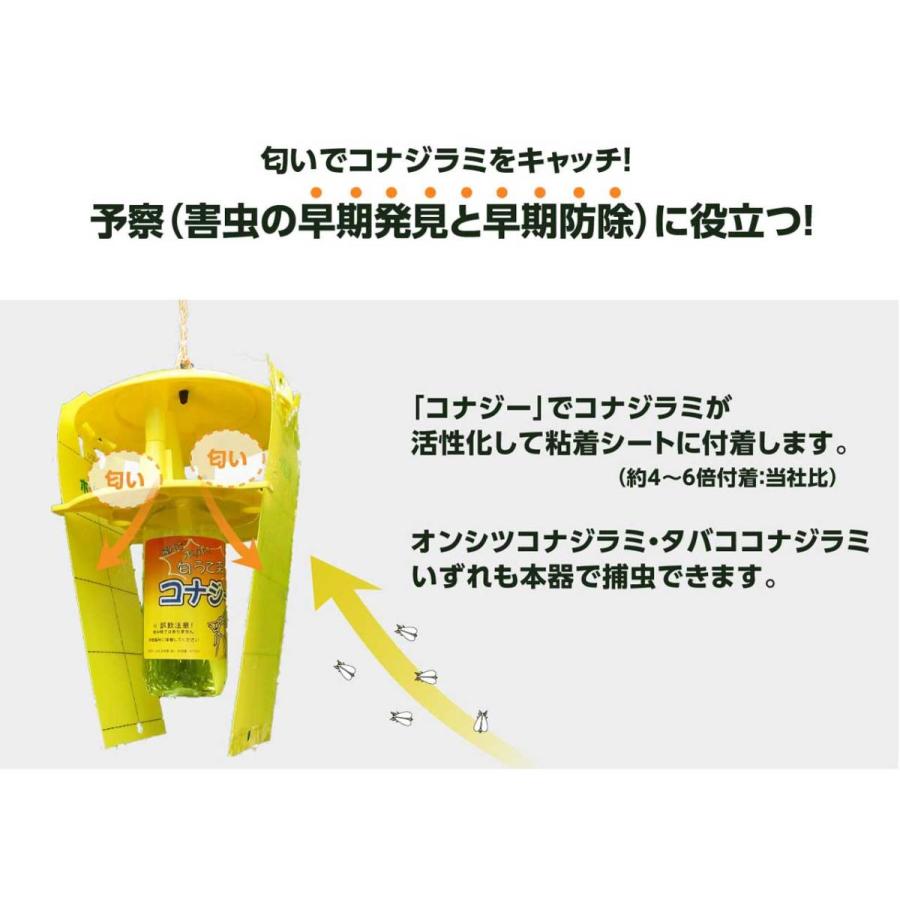 みのる産業 活性式コナジラミ予察捕虫器 コナジラミキャッチャー 10