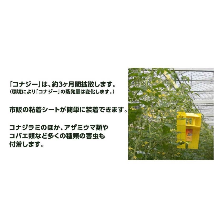 みのる産業 活性式コナジラミ予察捕虫器 コナジラミキャッチャー 10