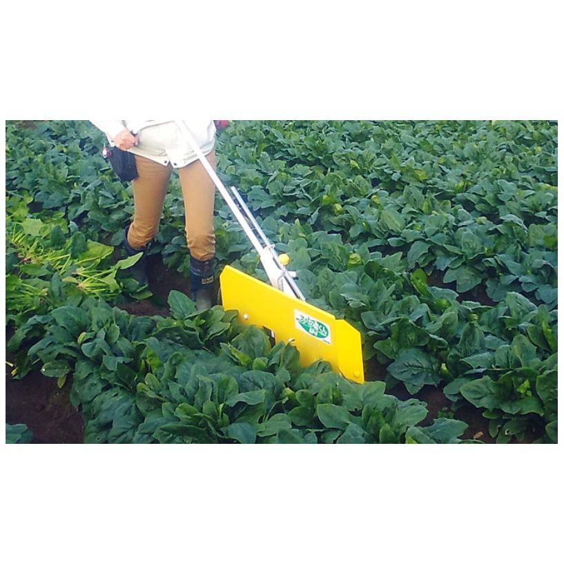 ほうれん草根切機 ほうれん草収穫機 株式会社 カミイエ農機具製作所 11