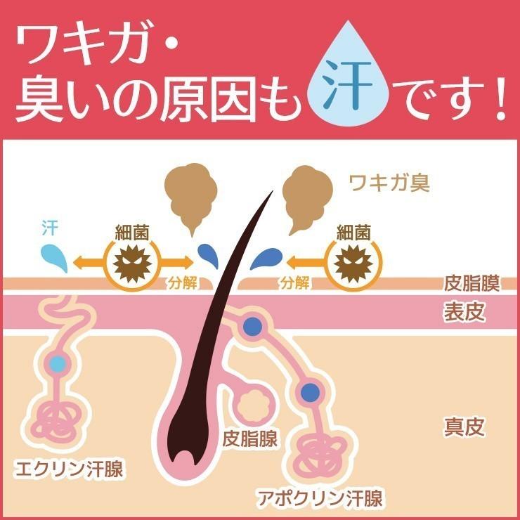 制汗剤 AHCセンシティブ 50ml 2本セット（ 脇汗 臭い ワキガ 腋臭 顔汗 デオドラント 胸汗 身体の汗と臭いに ）　医薬部外品 |  | 04