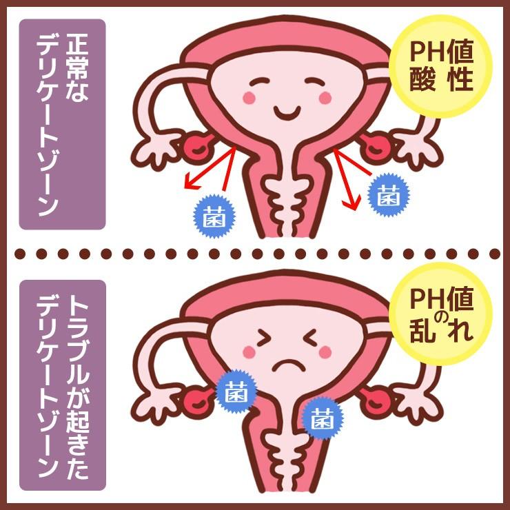 ギノフィット 乳酸ジェル 5ml x 12本入り2箱セット ( 膣内洗浄 ビデ デリケートゾーン トラブル 膣洗浄 おりもの 膣 洗浄 使い捨てビデ)|ahcswiss|02