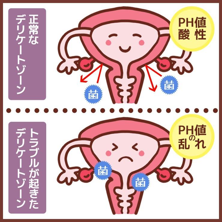 ギノフィット 乳酸ジェル（5mlx12本） ウォッシュローション 拭き取りシートのセット（無香料）デリケートゾーン トラブル 膣内洗浄 膣 洗浄 おりもの ビデ｜ahcswiss｜02