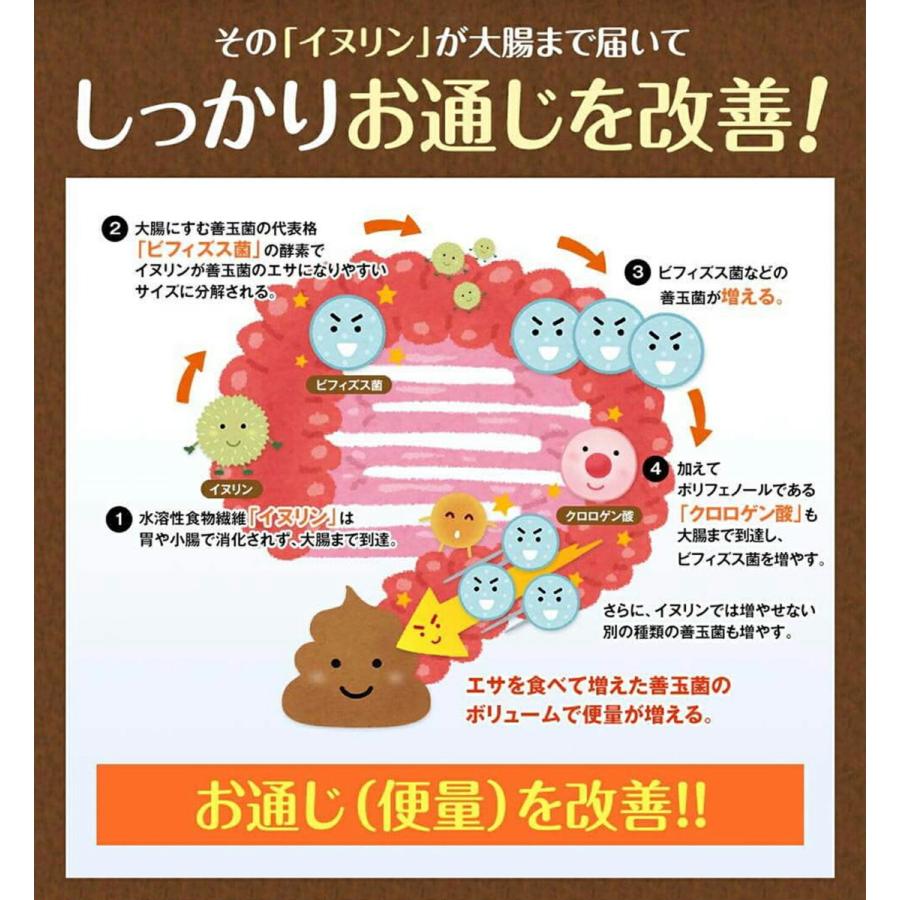 ごぼう 茶 効能