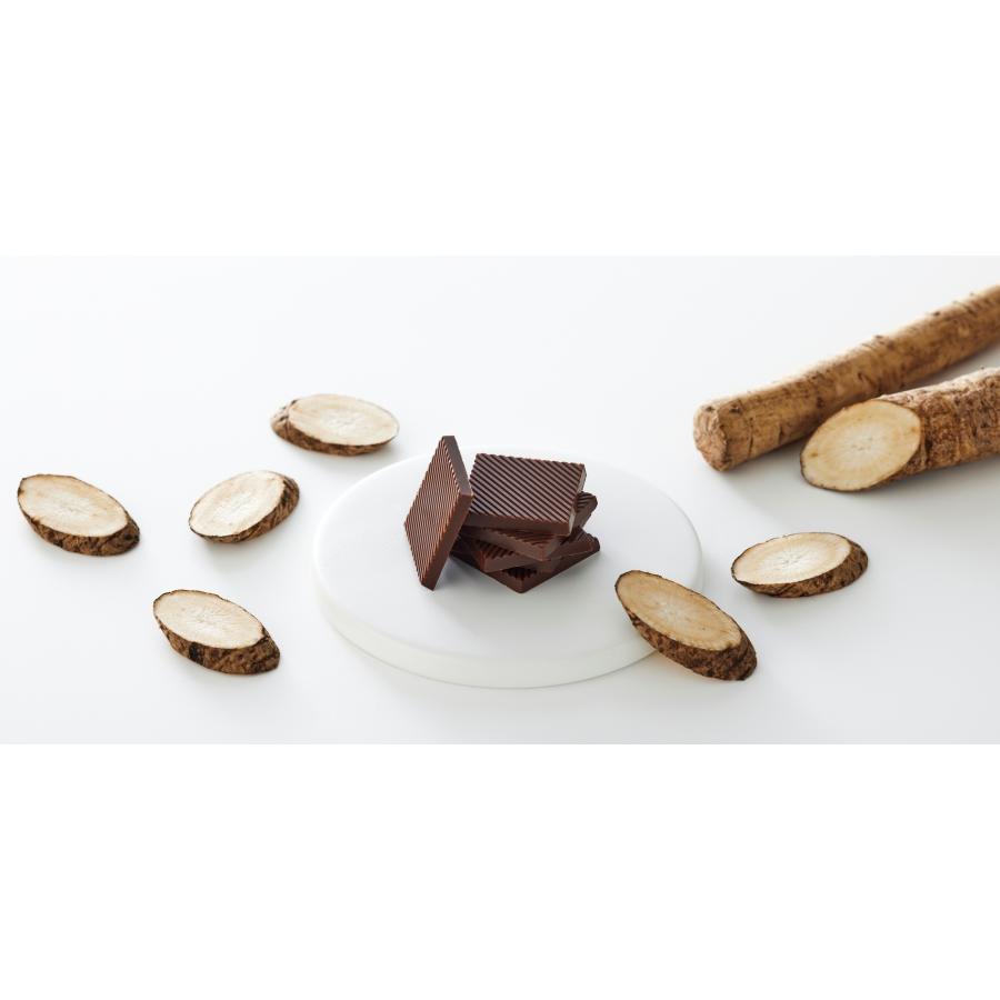 公式】GOVOCE(ゴボーチェ)カカオ不使用あじかんごぼうスイーツ チョコ