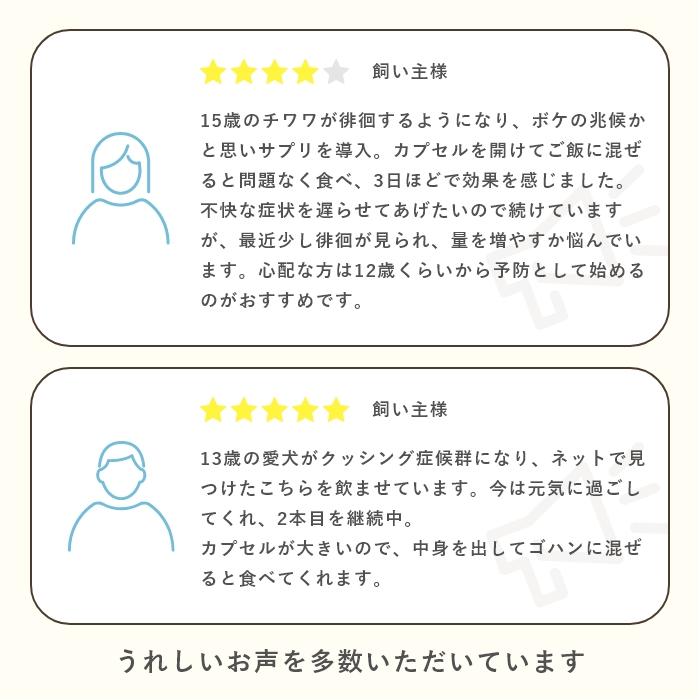 脳機能サポート 犬猫用サプリメント ハッピーポーズ 90粒【レターパックライト可】(３０粒×３袋の場合あり) |  | 10