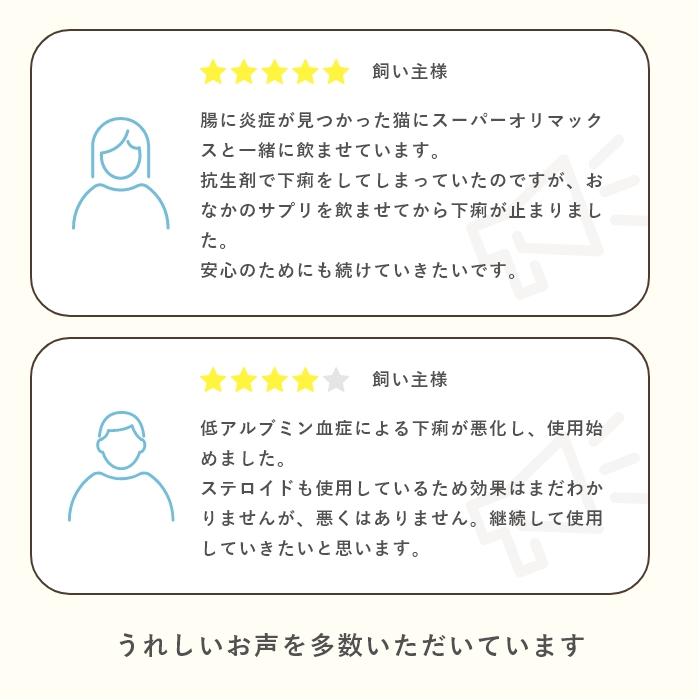 乳酸菌　犬と猫のおなかのサプリAHS 100粒【レターパックライト可】 |  | 10