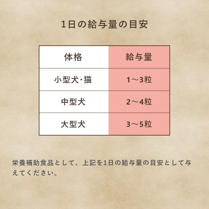 乳酸菌　犬と猫のおなかのサプリAHS 100粒【レターパックライト可】 |  | 11