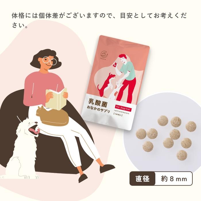 乳酸菌　犬と猫のおなかのサプリAHS 100粒【レターパックライト可】 |  | 12