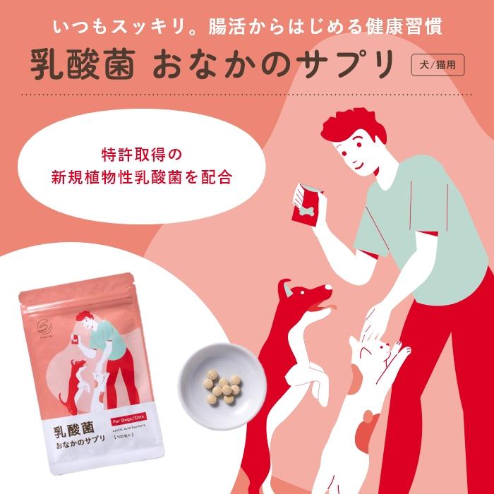 乳酸菌　犬と猫のおなかのサプリAHS 100粒【レターパックライト可】 |  | 01