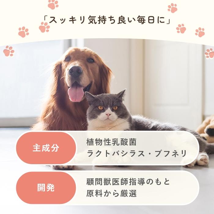 乳酸菌　犬と猫のおなかのサプリAHS 100粒【レターパックライト可】 |  | 02