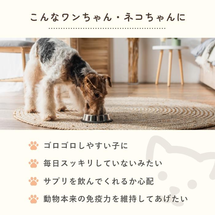 乳酸菌　犬と猫のおなかのサプリAHS 100粒【レターパックライト可】 |  | 03