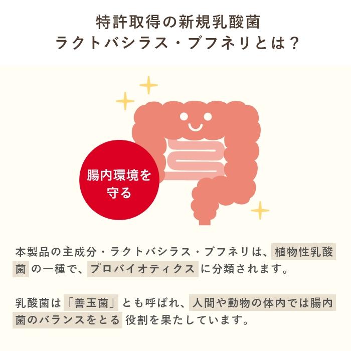 乳酸菌　犬と猫のおなかのサプリAHS 100粒【レターパックライト可】 |  | 04