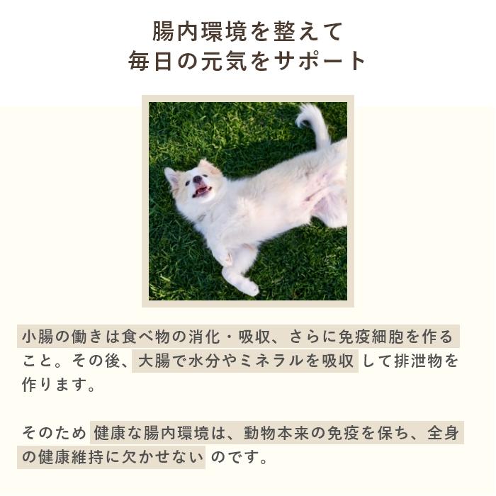 乳酸菌　犬と猫のおなかのサプリAHS 100粒【レターパックライト可】 |  | 05