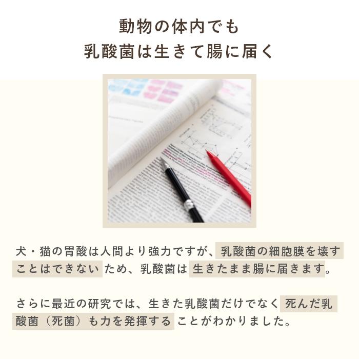 乳酸菌　犬と猫のおなかのサプリAHS 100粒【レターパックライト可】 |  | 06