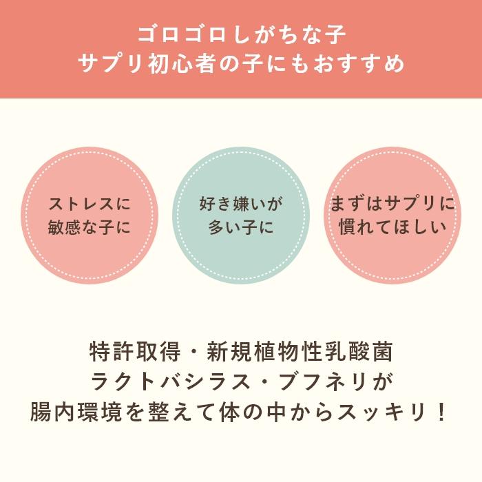 乳酸菌　犬と猫のおなかのサプリAHS 100粒【レターパックライト可】 |  | 07
