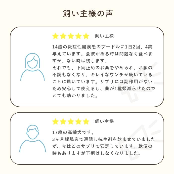 乳酸菌　犬と猫のおなかのサプリAHS 100粒【レターパックライト可】 |  | 09