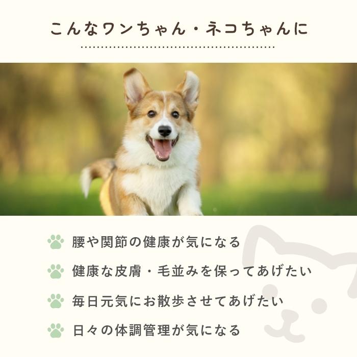 オメガ3脂肪酸 猫用犬用サプリメント アルジェオメガ 30粒【レターパックライト可】 |  | 04