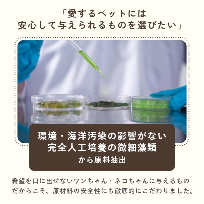 オメガ3脂肪酸 猫用犬用サプリメント アルジェオメガ 30粒【レターパックライト可】 |  | 09