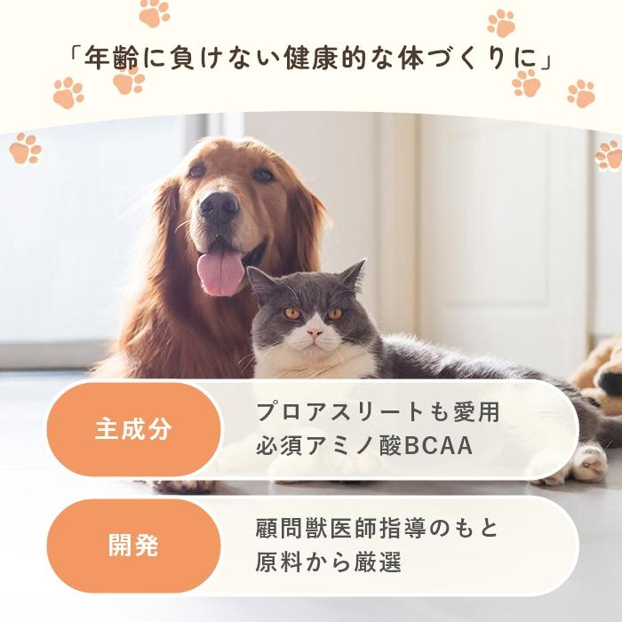 犬猫用アミノ酸BCAAサプリメント  アミノピュアー 50g パウチタイプ　アルギニン リジン【レターパックライト可】 |  | 02