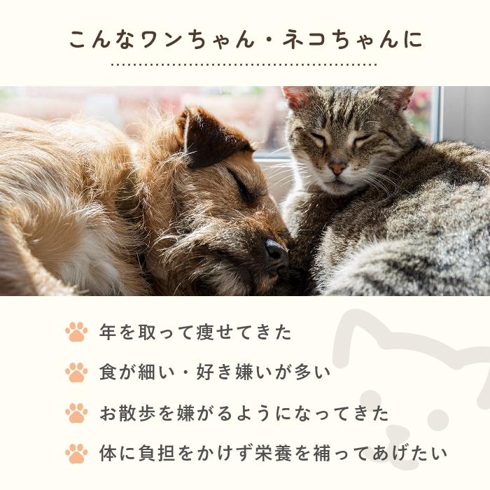 犬猫用アミノ酸BCAAサプリメント  アミノピュアー 50g パウチタイプ　アルギニン リジン【レターパックライト可】 |  | 03