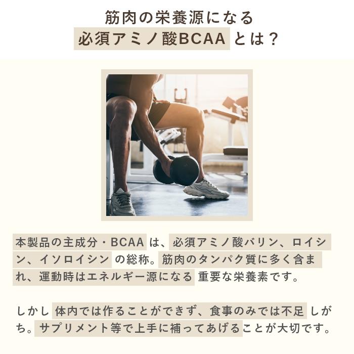 犬猫用アミノ酸BCAAサプリメント  アミノピュアー 50g パウチタイプ　アルギニン リジン【レターパックライト可】 |  | 04