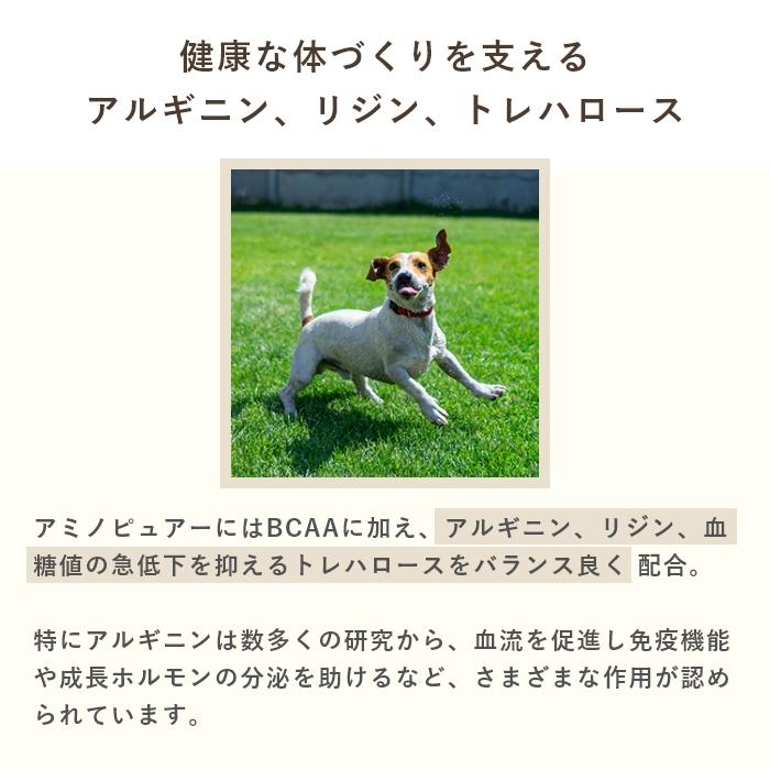 犬猫用アミノ酸BCAAサプリメント  アミノピュアー 50g パウチタイプ　アルギニン リジン【レターパックライト可】 |  | 06