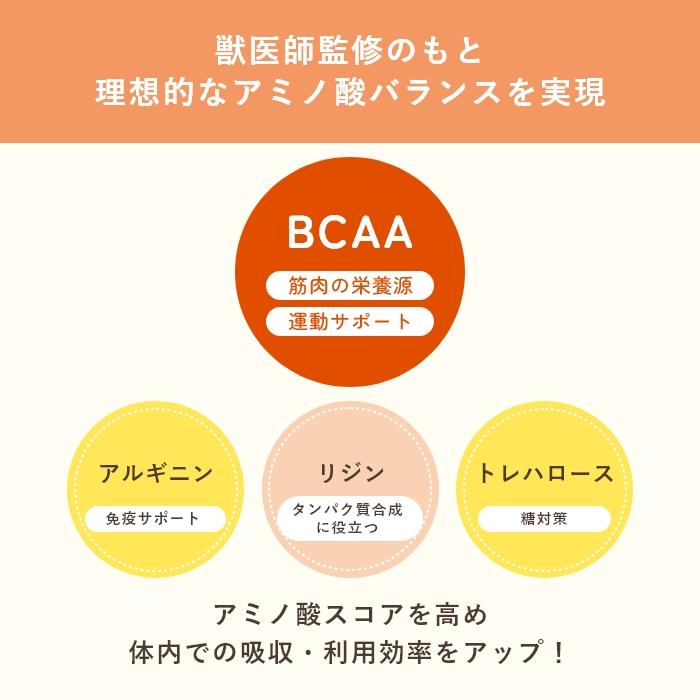 犬猫用アミノ酸BCAAサプリメント  アミノピュアー 50g パウチタイプ　アルギニン リジン【レターパックライト可】 |  | 07