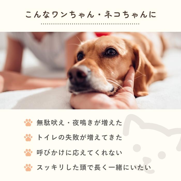 脳機能サポート 犬猫用サプリメント ハッピーポーズ 30粒【レターパックライト可】 |  | 03