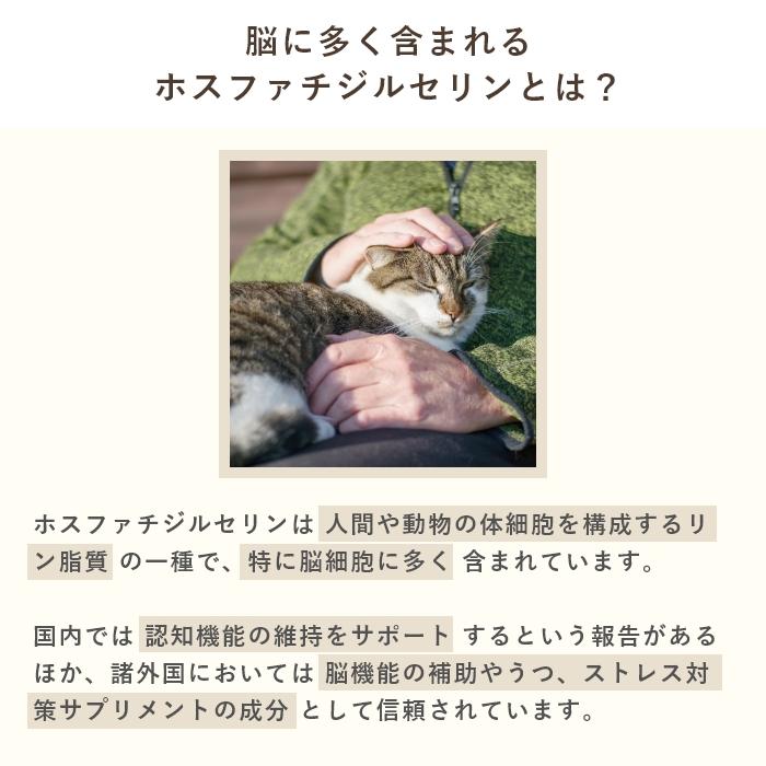 脳機能サポート 犬猫用サプリメント ハッピーポーズ 30粒【レターパックライト可】 |  | 04