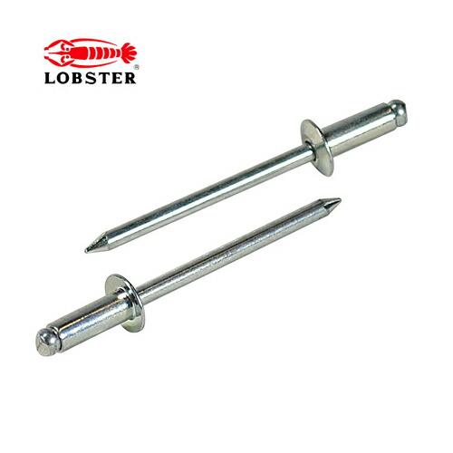 エビ/ロブテックス NS54 ブラインドリベット(丸頭) 徳用BOX (1000本入